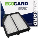 Order Air Filter by ECOGARD - XA10019 For Your Vehicle