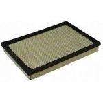 Order Air Filter by ECOGARD - XA4343 For Your Vehicle