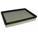 Order Air Filter by ECOGARD - XA4479 For Your Vehicle