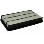 Order Air Filter by ECOGARD - XA4690 For Your Vehicle