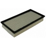 Order Air Filter by ECOGARD - XA5301 For Your Vehicle