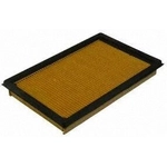 Order Air Filter by ECOGARD - XA5304 For Your Vehicle