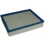 Order Air Filter by ECOGARD - XA5314 For Your Vehicle