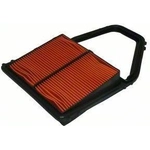 Order Air Filter by ECOGARD - XA5397 For Your Vehicle