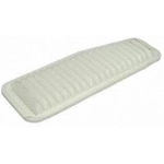 Order Air Filter by ECOGARD - XA5398 For Your Vehicle