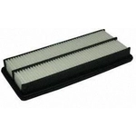 Order Air Filter by ECOGARD - XA5507 For Your Vehicle