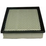 Order Air Filter by ECOGARD - XA5512 For Your Vehicle