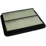 Order Air Filter by ECOGARD - XA5517 For Your Vehicle