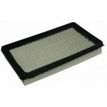 Order Air Filter by ECOGARD - XA5594 For Your Vehicle