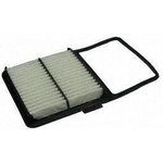 Order Air Filter by ECOGARD - XA5698 For Your Vehicle