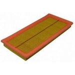 Order Air Filter by ECOGARD - XA5700 For Your Vehicle