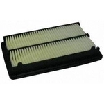 Order Air Filter by ECOGARD - XA5781 For Your Vehicle