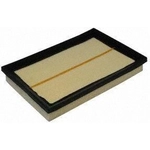 Order Air Filter by ECOGARD - XA5786 For Your Vehicle