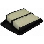 Order Air Filter by ECOGARD - XA6061 For Your Vehicle