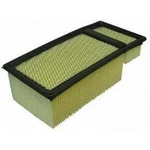 Order Air Filter by ECOGARD - XA6109 For Your Vehicle