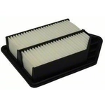 Order Air Filter by ECOGARD - XA6119 For Your Vehicle