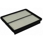 Order Air Filter by ECOGARD - XA6124 For Your Vehicle