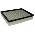 Order Air Filter by ECOGARD - XA6169 For Your Vehicle