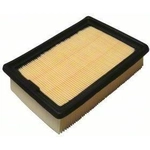 Order Air Filter by ECOGARD - XA6199 For Your Vehicle