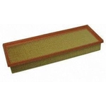 Order Air Filter by ECOGARD - XA6318 For Your Vehicle