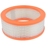 Order FRAM - CA148 - Air Filter For Your Vehicle
