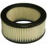 Order Air Filter by FRAM - CA101 For Your Vehicle