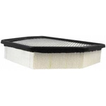 Order Air Filter by FRAM - CA10115 For Your Vehicle