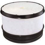 Order FRAM - CA10161 - Air Filter For Your Vehicle
