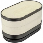 Order Air Filter by FRAM - CA10491 For Your Vehicle