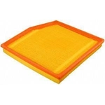 Order Air Filter by FRAM - CA11011 For Your Vehicle