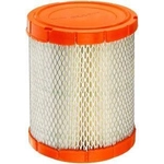 Order FRAM - CA11048 - Air Filter For Your Vehicle