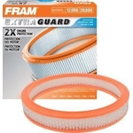 Order Air Filter by FRAM - CA114 For Your Vehicle