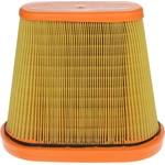 Order Air Filter by FRAM - CA12062 For Your Vehicle