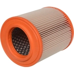 Order Air Filter by FRAM - CA12112 For Your Vehicle