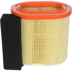 Order Air Filter by FRAM - CA12182 For Your Vehicle