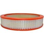 Order FRAM - CA136 - Air Filter For Your Vehicle