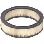 Order Air Filter by FRAM - CA140 For Your Vehicle