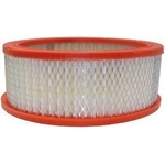 Order FRAM - CA146 - Air Filter For Your Vehicle