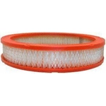 Order Air Filter by FRAM - CA303 For Your Vehicle