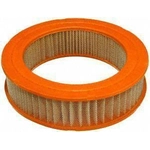 Order Air Filter by FRAM - CA3187 For Your Vehicle