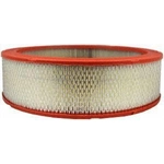 Order FRAM - CA326 - Air Filter For Your Vehicle