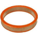 Order Air Filter by FRAM - CA342 For Your Vehicle