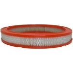 Order Air Filter by FRAM - CA3425 For Your Vehicle
