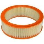 Order Air Filter by FRAM - CA347 For Your Vehicle