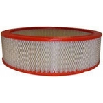 Order Air Filter by FRAM - CA3492 For Your Vehicle