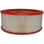 Order Air Filter by FRAM - CA3501 For Your Vehicle