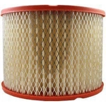 Order Air Filter by FRAM - CA3688 For Your Vehicle