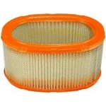 Order Air Filter by FRAM - CA3785 For Your Vehicle