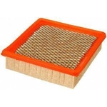 Order Air Filter by FRAM - CA3915 For Your Vehicle