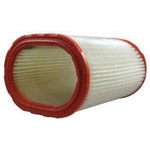 Order Air Filter by FRAM - CA4828 For Your Vehicle